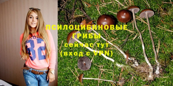 кокс Алексеевка