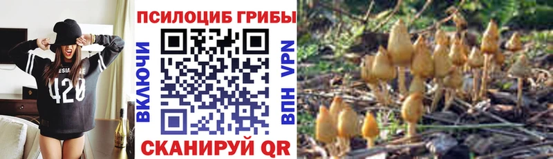 Галлюциногенные грибы мухоморы  Гурьевск 